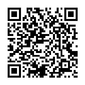 半圣世家百年之内最多也只能使用一次一等免罪令二维码生成