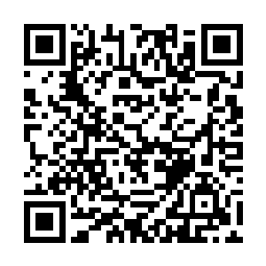 半年内让这些武馆武校成为杜平县经济发展的原动力二维码生成