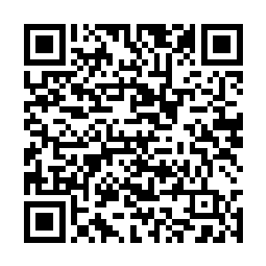 半步仙君按照正常情况的确没资格统领整个驱修塔二维码生成