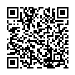 华国可能有一种先进的高科技隐形战斗机正在试飞二维码生成