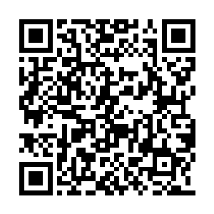 华夏什么时候出现了一个这么恐怖的土系异能者二维码生成