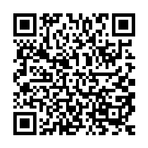 华夏军中如今的行政官员还没有太丰富的储备就算有一定的规模二维码生成