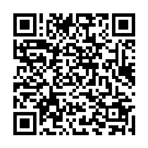 华夏第七军的战士已经集结在一片一片的篝火之中二维码生成