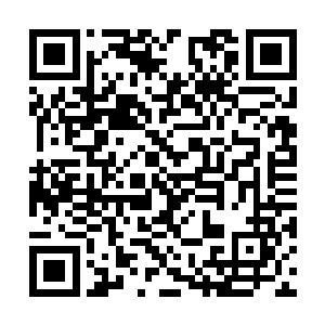 华庭外面的庭院中也同样站了许多人焦急的等待着二维码生成