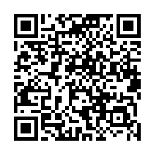 华掌柜也是有一旦楚暮能够和那四星剑王对战百招而不败二维码生成