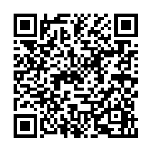 华明川常年板着的脸上露出一丝不易察觉的惊喜二维码生成
