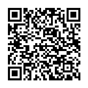 华纳兄弟从第一次海外分账中拿到了5400多万美元二维码生成