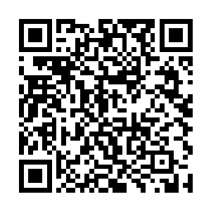 华纳兄弟结算时获得的分成比例要远远低于北美票房二维码生成