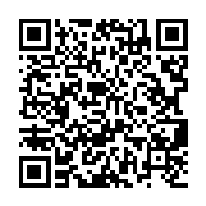 华纳兄弟还提前支付了部分海外票房方面的收益分成二维码生成