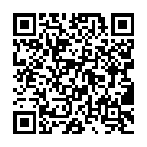 华纳是用这部电影五年内的北美版权买下了注资机会二维码生成