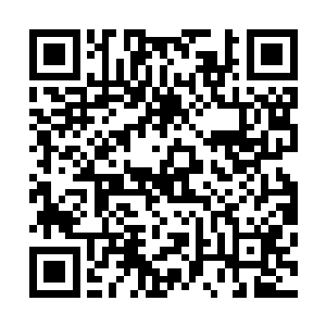 华美这些企业落户南潭开发区都是冲着南潭猕猴桃资源而来二维码生成