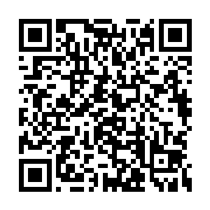 华锦城转脸看了看这个为了钱而黏在自己身边的二维码生成