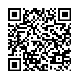 协助辛无痕和诸葛师兄等人的破解二维码生成