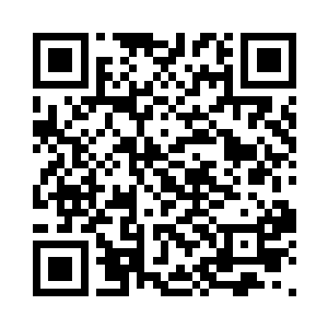 协同诸多域主围攻人族强者的伪王主们二维码生成