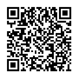 单单只是想要凑齐淬炼五行本源之体的本源宝物二维码生成