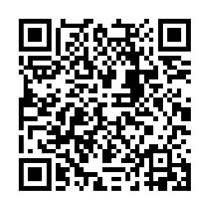 单单是从他们两个交战逸散出来的恐怖的气息来看二维码生成