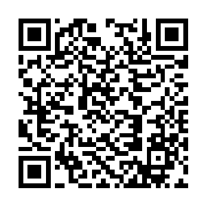 单单是那恐怖的气息就足以令一个圣祖高手侧目了二维码生成