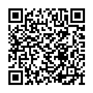 单对单都足以碾压那些有水分的神皇和寻常神皇二维码生成