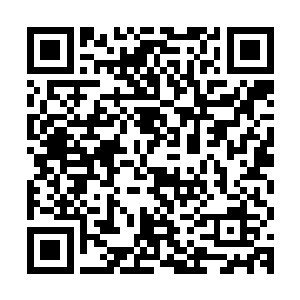 单是一个花园的面积就比之前在外面看的建筑群大了不知多少倍二维码生成