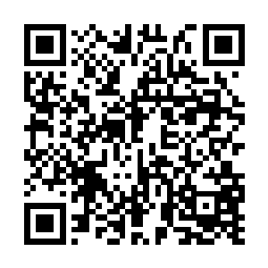 单是之前在政府大楼前面静坐的那些人就可以证明二维码生成