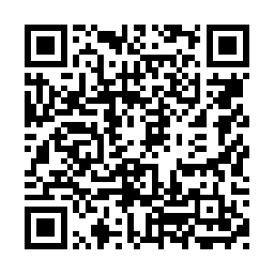 单是从船票的价钱就能窥视到梅鲜灵手里的财富二维码生成