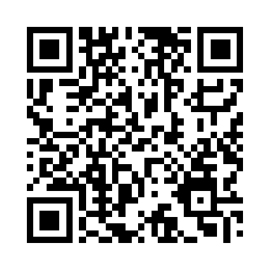 单独论规模似乎并没有什么大不了的二维码生成