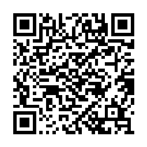 单论自保能力俩个英雄压根就不是一个档次上的二维码生成