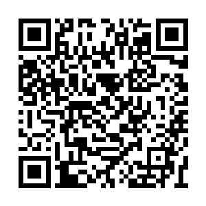 单这一层就能开采出超过两万万亿块数量的灵晶二维码生成