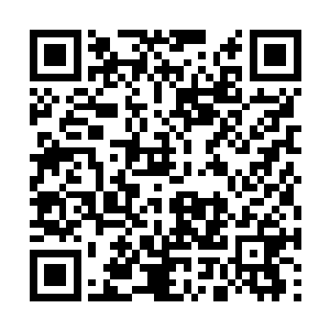 南宫墨渊身边跟着的大总管乐呵呵的下去赏赐去了二维码生成