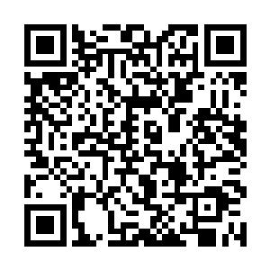 南方巫师联盟将附近城镇的守卫都调度到了珍珠六港二维码生成