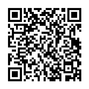 南星大陆在星空之中算是距离我们世界最近的一个生命源地了二维码生成