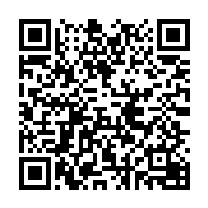 南潭和阜头三县试点种植的猕猴桃今年挂果成熟了二维码生成