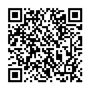 南王妃不由自主的想起她的儿子被群臣骂做是逆臣的事二维码生成