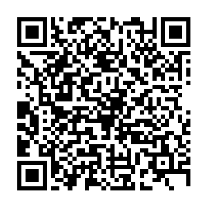 南疆的千山堂林家和百草堂姜家在南疆的分支家族的骑士也赶来了对百草姜家二维码生成