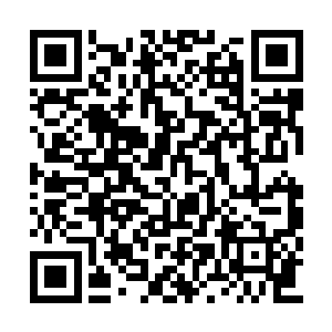 南耀国皇后带着小岩突然找上呆在岛上的老头子二维码生成