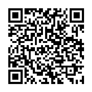 南边儿的那些小贱蹄子都被将士们玩儿得差不多了二维码生成