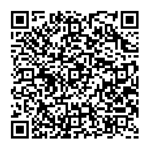 南门大军这话也让杨开意识到一个无法忽视的问题――凌霄宫是不是该招揽或者培养属于自己的炼器师了二维码生成