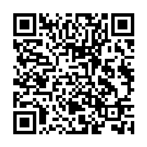 博德智库研究了一千例分别持有这两种性格的人群二维码生成