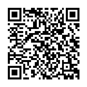 博文主动带着育幼院里的几个大孩子拉着那些孩子去食堂喝姜汤二维码生成