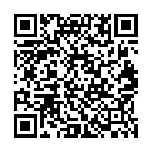 占据半边的鬼爪跟从上而下的箭雨便是激烈密集得对攻着二维码生成