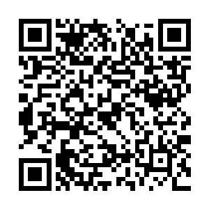 卡卡在一个月之后就可以与他们选中的人类契约了二维码生成