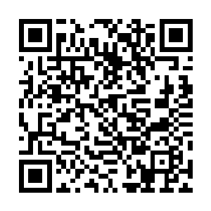 卡卡知道自己在外面要将这些皇家学院的学生们给牵绊住二维码生成
