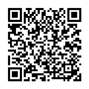卡卡鲁和乔一飞的死都和这个王淼有着直接的关系二维码生成