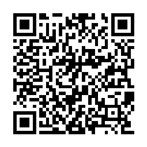 卡帕尔和那位随从的体重根本就不是一个重量级二维码生成