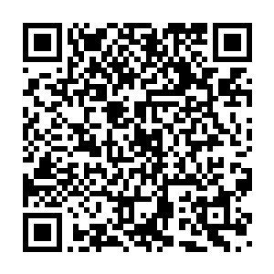 卡森这货直接在皮皮的脑袋上按了一下然后就从包里拿出了一个小盒子二维码生成