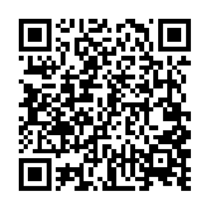 卡迪最后留下了自己在玄宇城的住址后带着朋友离开二维码生成