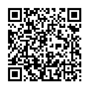 卡迪虽然对见不到那位注定伟大的骨器师有点失望二维码生成