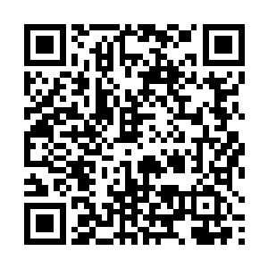 卢八娘的这些新举措毫无疑问地得到司马十七郎的赞同二维码生成