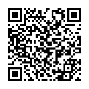 卢八娘看了后还真不好像对别人那样直接打发回去二维码生成