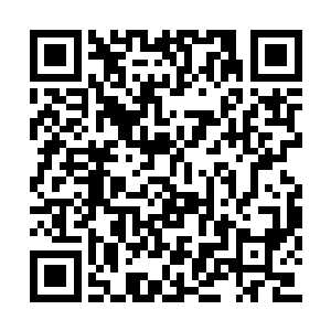 卢卡斯・萨顿在看到主裁判向荣光出黄牌的时候二维码生成